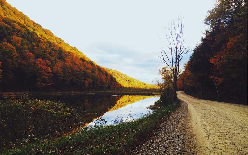 世界杯赛场球迷欢呼场景